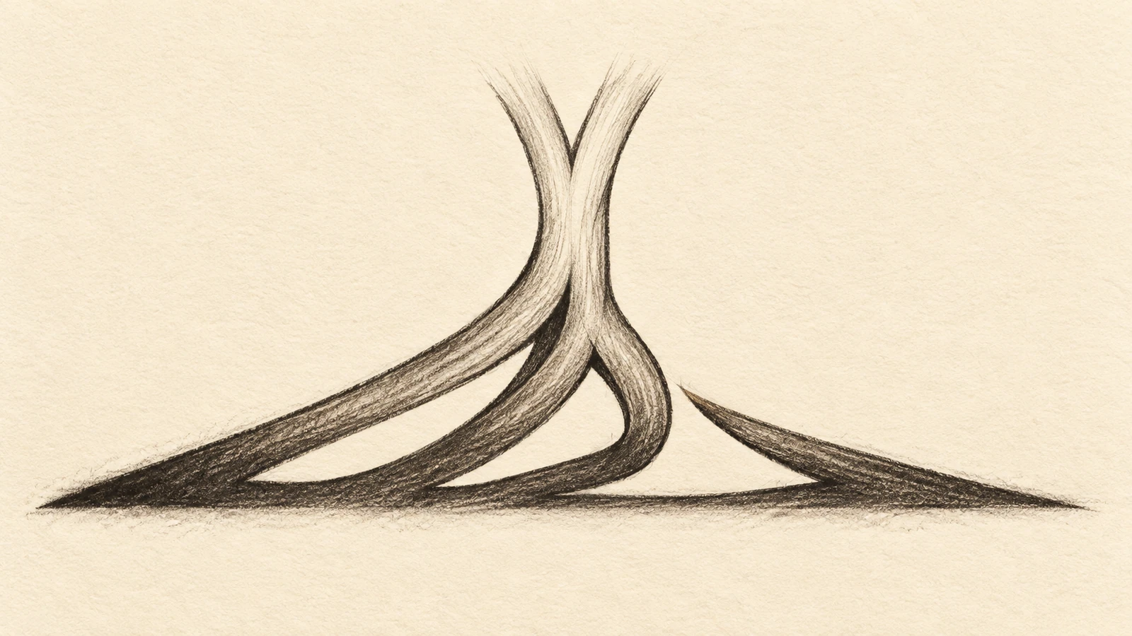 Charcoal detail study of the crest’s intertwined trunk and spreading roots