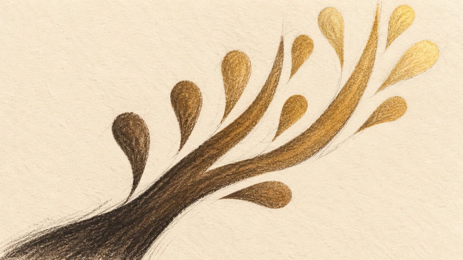 Charcoal and gold-pigment study of the crest’s transition from dark roots to a light crown